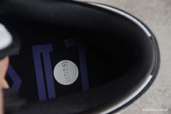 SE Jordan 1 Concord DV1309-100 DV1309-100 Low 0315